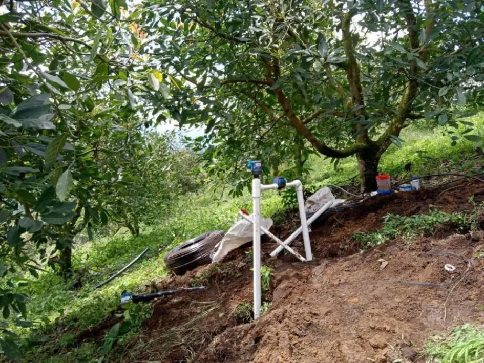 La Gobernación de Caldas, desde la Secretaría de Planeación y su estrategia Caldas Global, ha realizado diferentes acercamientos de relacionamiento internacional. Uno de los más importantes se ha dado con el Estado de Israel, quienes realizaron la donación de un sistema de agricultura de precisión para la producción de aguacate Hass, un aporte exclusivo en temas de cooperación financiera no condonable.