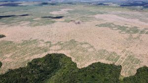 Entre enero y septiembre de 2023 la deforestación en la Amazonía colombiana se redujo en un 70% con respecto al mismo periodo de 2022, al pasar de 59.345 hectáreas deforestadas a 17.909 hectáreas, dijo la ministra de Ambiente y Desarrollo Sostenible, Susana Muhamad, con cifras del Instituto de Hidrología, Meteorología y Estudios Ambientales (Ideam).