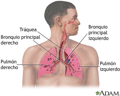 El INS, Instituto Nacional de Salud, alerta sobre crecimiento en fin de año de casos de enfermedades respiratorias