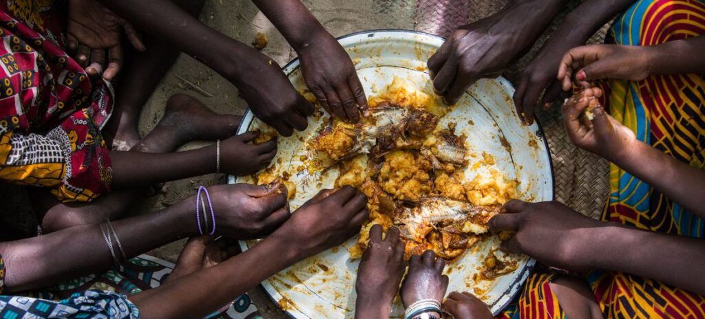 La alimentación es un derecho humano: la ONU llama a trabajar para que todos lo ejerzamos