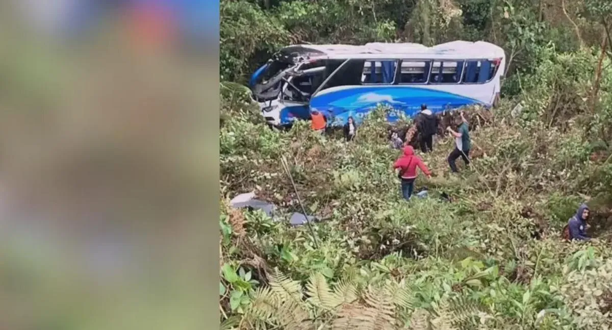 Bus volcó en bosque de Ruta de la Soberanía, dejó un muerto y varios ...