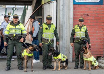 Conozca las medidas de seguridad para el partido Once Caldas vs. Boyacá Chicó en Palogrande