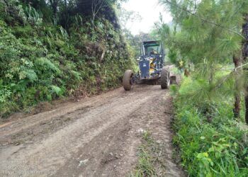 Tome nota de los ocho corredores viales de Caldas que son intervenidos por maquinaria amarilla este viernes