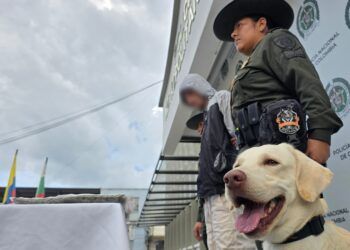 Llevaba marihuana y cocaína en su equipaje y el olfato de Axel lo delató