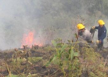 Ideam emite alerta por riesgo de incendios de cobertura vegetal en municipios del oriente de Caldas