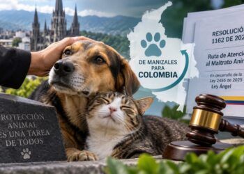 Una gestión de la Personería de Manizales abre la ruta nacional contra el maltrato animal