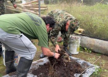 Un megavivero que siembra futuro para el pulmón verde de Caldas