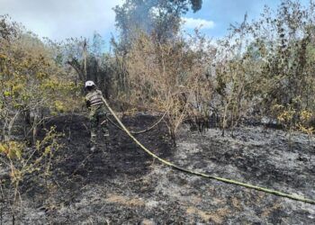 Tolima mantiene ocho incendios forestales activos mientras la UNGRD anuncia $4.000 millones para reforzar la emergencia